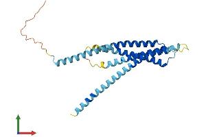 Protein Structure (PS) image for ORAI Calcium Release-Activated Calcium Modulator 2 (ORAI2) (AA 1-250) protein (His tag) (ABIN7558603)