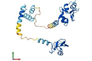 Protein Structure (PS) image for Baculoviral IAP Repeat-Containing 8 (BIRC8) (AA 1-236) protein (His tag) (ABIN7552765)