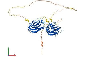 Protein Structure (PS) image for Double C2-Like Domains, beta (DOC2B) (AA 1-412) protein (His tag) (ABIN7556664)