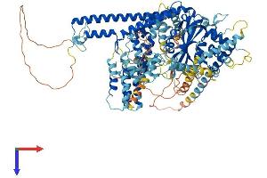 USP25 Protein (AA 1-1055) (His tag)
