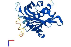 STARD4 Protein (AA 1-224) (His tag)