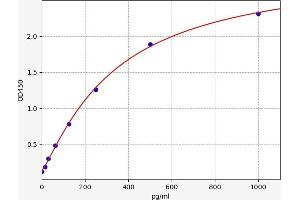 CACYBP ELISA Kit