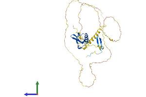 AlphaFold protein structure predicition of Mouse Recombinant Cbx8 Protein, UniprotID Q9QXV1