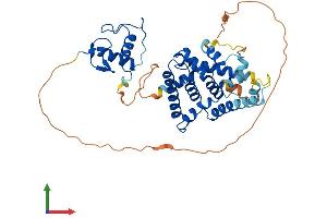 Protein Structure (PS) image for Nuclear Receptor Subfamily 2, Group F, Member 1 (NR2F1) (AA 1-422) protein (His tag) (ABIN7557583)