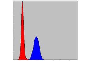 Flow cytometric analysis of HeLa cells using MAPK3 monoclonal antibody, clone 1E5  (blue) and negative control (red).