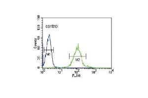 IRF8 Antibody (C-term) (ABIN389336 and ABIN2839448) flow cytometric analysis of HL-60 cells (right histogram) compared to a negative control cell (left histogram).