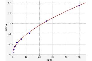 Typical standard curve (BAK1 ELISA Kit)