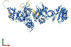 Protein Structure (PS) image for Janus Kinase 2 (JAK2) (AA 1-1132) protein (His tag) (ABIN7554274)
