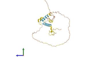 AlphaFold protein structure predicition of Mouse Recombinant Rhox5 Protein, UniprotID P52651