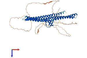 BAIAP2L2 Protein (AA 1-529) (His tag)