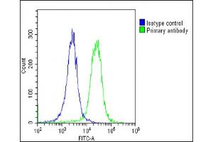 Overlay histogram showing HeLa cells stained with (ABIN6243826 and ABIN6578813)(green line). (PSMD3 Antikörper  (AA 482-515))