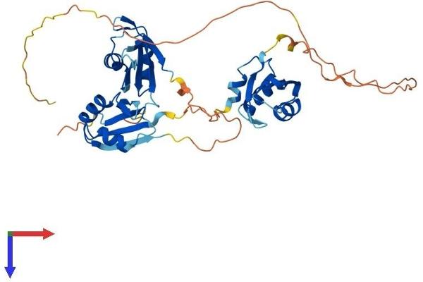 TIAL1 Protein (AA 1-392) (His tag)