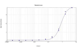 ELISA Results of Rabbit Anti-Mutarotase Antibody Peroxidase Conjugated tested against purified Mutarotase. (Mutarotase Antikörper (HRP))
