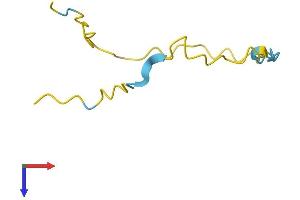 NREP Protein (AA 1-68) (Fc Tag)