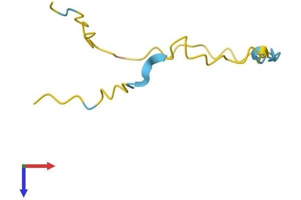 NREP Protein (AA 1-68) (Fc Tag)