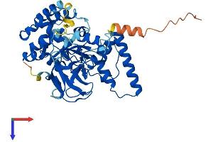 SMYD5 Protein (AA 1-418) (His tag)