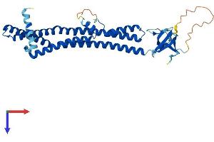SH3GL3 Protein (AA 1-347) (His tag)