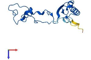 AlphaFold protein structure predicition of Mouse Recombinant Rpl32-ps Protein, UniprotID P17932