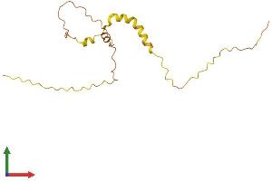 AlphaFold protein structure predicition of Human Recombinant LINC00588 Protein, UniprotID Q9Y4M8