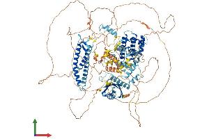 Protein Structure (PS) image for Large Proline-Rich Protein BAT3 (BAT3) (AA 1-1132) protein (His tag) (ABIN7552510)