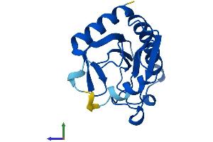 Protein Structure (PS) image for Fragile Histidine Triad (FHIT) (AA 1-150) protein (His tag) (ABIN7562713)