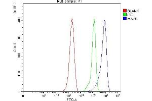 Flow Cytometry analysis of ANA-1 cells using anti-Mavs antibody (ABIN7599544). (MAVS Antikörper  (AA 1-77))