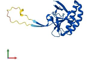 Protein Structure (PS) image for Tumor Protein, Translationally-Controlled 1 (TPT1) (AA 1-172) protein (His tag) (ABIN7556636)