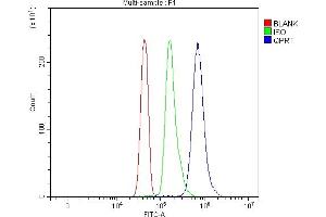 Flow Cytometry analysis of Jurkat cells using anti-QPRT antibody (ABIN7600821).