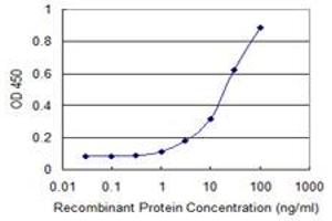 Detection limit for recombinant GST tagged HIPK2 is 0. (HIPK2 Antikörper  (AA 961-1065))