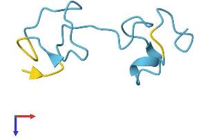 MT1G Protein (AA 1-62) (Fc Tag)