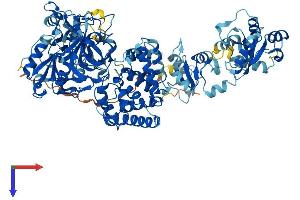 LIG4 Protein (AA 1-911) (His tag)