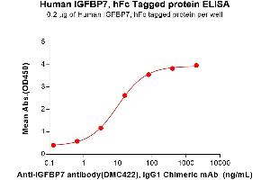 Insulin-Like Growth Factor Binding Protein 7 (IGFBP7) protein (Fc Tag)