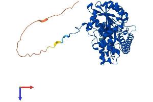 GPT2 Protein (AA 1-522) (His tag)