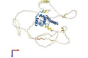 SMAP1 Protein (AA 1-467) (His tag)