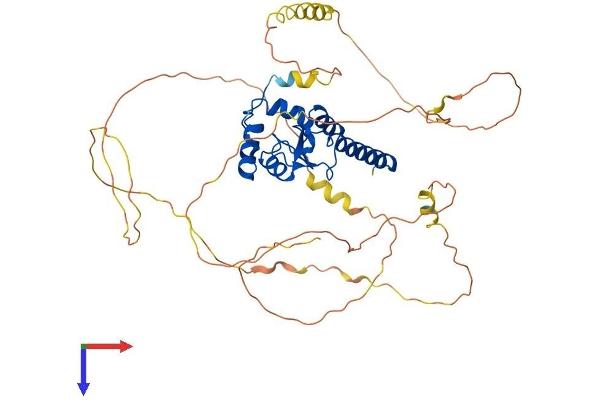 SMAP1 Protein (AA 1-467) (His tag)