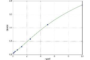 Lipase, Hepatic (LIPC) ELISA Kit