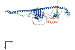 TRIM41 Protein (AA 1-630) (His tag)