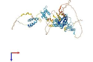 TIGD5 Protein (AA 1-642) (His tag)