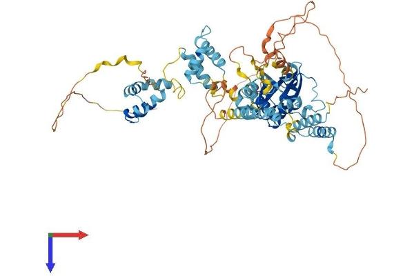 TIGD5 Protein (AA 1-642) (His tag)