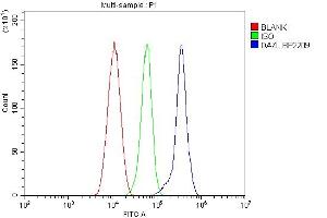 Flow Cytometry analysis of HL-60 cells using anti-DAZL antibody (ABIN7601384).