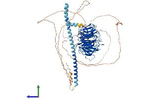 Protein Structure (PS) image for Transducin-Like Enhancer of Split 1 (E(sp1) Homolog, Drosophila) (TLE1) (AA 1-770) protein (His tag) (ABIN7555774)