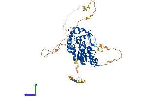 Protein Structure (PS) image for Heparan Sulfate (Glucosamine) 3-O-Sulfotransferase 4 (HS3ST4) (AA 1-456) protein (His tag) (ABIN7548409)