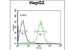PLTP Antibody (C-term) (ABIN391914 and ABIN2841725) flow cytometric analysis of HepG2 cells (right histogram) compared to a negative control cell (left histogram).