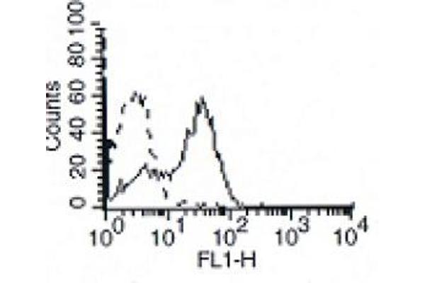 IL7R anticorps