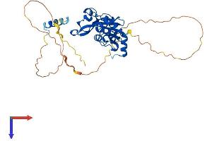 ISG20L2 Protein (AA 1-353) (His tag)