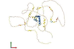 Protein Structure (PS) image for Iroquois Homeobox Protein 1 (IRX1) (AA 1-480) protein (His tag) (ABIN7556744)