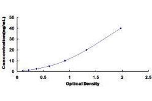 ELISA image for Angiotensinogen (serpin Peptidase Inhibitor, Clade A, Member 8) (AGT) ELISA Kit (ABIN424087)