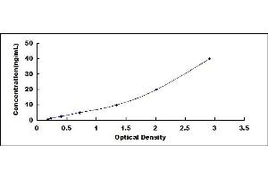 Typical standard curve (ARHGDIB ELISA Kit)