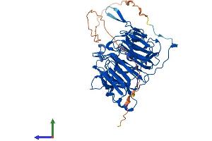 Protein Structure (PS) image for Regulator of Chromosome Condensation 2 (RCC2) (AA 1-520) protein (His tag) (ABIN7558716)