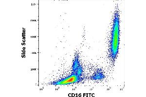 Flow cytometry surface staining pattern of human peripheral whole blood stained using anti-human CD16 (3G8) FITC antibody (4 μL reagent / 100 μL of peripheral whole blood). (CD16 Antikörper  (FITC))